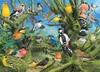 Eurographics Garden Birds - Joahn Francis (1000) Voir les images du produit 1