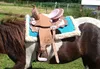 Esposita Westernsattel "Princess" für Pony und Shetty Produktbild-Vorschau 3