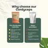 Cordyceps Kapseln 500 mg Produktbild-Vorschau 6