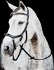 Horseware Ireland Snaffle Bridle Micklem 2 Multi Bridle Náhled obrázku produktu 1