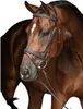 Briglia Snaffle Kerbl Classic in pelle marrone Warmblood Anteprima dell’immagine prodotto 9