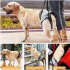 Hondenhulpbrace – Draagbaar achterpootbrace voor honden – Productafbeelding-voorbeeld 7