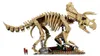 LEGO Jurassic World Szkielety dinozaurów: triceratops, Podgląd zdjęcia produktu 10