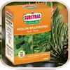 Düngemittel für Thuja - 1 kg - gegen Braunfärbung - schnell Produktbild-Vorschau 8