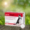 Dogoteka - New LactoAdapt - 60 Stück   für optimale Produktbild-Vorschau 1