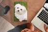 MuchoWow® Mauspad Mousepad Malteserhund schaut auf 18x27 cm Produktbild-Vorschau 3