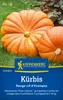 Kiepenkerl Kürbissamen Roter Zentner Cucurbita maxima 5 Produktbild-Vorschau 3