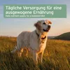 AniForte Nachtkerzenöl für Hunde & Katzen 250 ml - 100% Produktbild-Vorschau 5