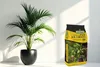 Palmenerde 20 l - Hochwertig - Nährstoffreich - Für Garten Produktbild-Vorschau 6