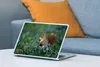 MuchoWow® Laptop Aufkleber Sticker Cover Eichhörnchen - Produktbild-Vorschau 4