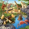 Forêt/zoo/animaux domestiques Ravensburger 09265 Voir les images du produit 4