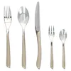 A set of cutlery arranged on a white background. Podgląd zdjęcia produktu