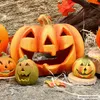 A collection of carved pumpkins, some lit from within, arranged outdoors on a rocky surface with dried leaves and twigs. Anteprima dell’immagine prodotto