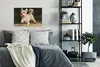 MuchoWow® Poster Ein Malteser mit einem roten Ball 90x60 cm Produktbild-Vorschau 4