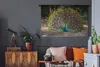 MuchoWow® Wandteppich Wandbehang Pfau - Wild - Wald 120x80 Produktbild-Vorschau 5