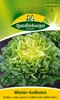Winter-Endivien Gialla a cuore pieno Produktbild-Vorschau 3