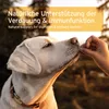 AniForte Prebiotic TopinPur VET für Hund & Katze 30 ml - Produktbild-Vorschau 5