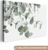 MuchoWow® - Plátno - Eukalyptus - Listy - Príroda - Zelená, Náhľad obrázku produktu 1