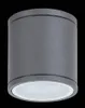 A close-up studio shot of a cylindrical outdoor ceiling light against a black background. Náhľad obrázku produktu