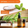 ALPENHAUCH Sauna Aromaschale aus massivem Speckstein Produktbild-Vorschau 5