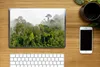 MuchoWow® Laptop Aufkleber Sticker Cover Dschungel - Baum - Produktbild-Vorschau 2