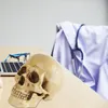 Lebensgroßes Schädelmodell, realistisch, abnehmbarer Produktbild-Vorschau 7