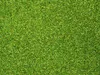 Noch GmbH Streumaterial Almgrund 42g Sonstige Produktbild-Vorschau 2