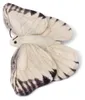 WWF - Plüschtier - Schmetterling (20cm) lebensecht Produktbild-Vorschau 2