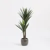 Sztuczna roślina Mica Decorations Yucca - H120 x Ø60 cm - Podgląd zdjęcia produktu 10