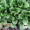 Samenliebe  Feldsalat Samen | Vit - winterhart & nussig & Produktbild-Vorschau 4