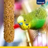 Vitakraft Kräcker Mix, Vogelsnack, Knabberstangen, mit Ei Produktbild-Vorschau 13