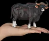 Mojo Fun Gaur Bull, 3 rok / roky, Wildlife, Čierna, Hnedá, Náhľad obrázku produktu 4