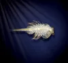A microscopic aquatic creature, likely an Artemia, is shown against a dark blue background with light rays emanating from the top left. Voir les images du produit