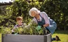 An older woman and a young boy are gardening together in a raised garden bed. Náhľad obrázku produktu