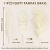 INF Bouquet de Fleurs Séchées Blanches - 21 Tiges d'Herbe Voir les images du produit 2