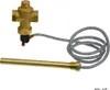 A brass thermostatic safety valve with a flexible metal conduit and a brass probe. Anteprima dell’immagine prodotto