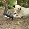 sacchetti per le deiezioni canine lionto, a prova di Anteprima dell’immagine prodotto 2