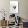 Poster - Poster ohne Rahmen - Wisent Schwarzweiß Licht - Produktbild-Vorschau 6