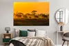MuchoWow® Poster Elefantenherde bei Sonnenaufgang 180x120 Produktbild-Vorschau 5