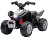 AIYAPLAY Elektro-Quad Miniquad Kinder Elektro ATV Produktbild-Vorschau 1