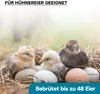 Wiltec Automatische Brutmaschine für 48 Eier, Inkubator mit Produktbild-Vorschau 8