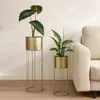Atmosphera Créateur d'intérieur Présentoir à fleurs avec Voir les images du produit 5