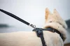 Ruffwear Front Range™ Hundegeschirr Produktbild-Vorschau 8