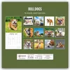 Bulldogs - Bulldoggen 2027 - 16-Monatskalender Produktbild-Vorschau 2
