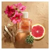 Profumo da donna Canyon Escape Hollister EDP 100 ml Anteprima dell’immagine prodotto 11
