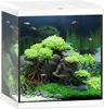 Aquarium JUWEL Vio Cube 54 l, ca. 41 x 36 x 47 cm, inkl. Produktbild-Vorschau 1
