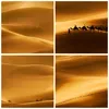 Bilder auf glas - Afrika Sahara Kamel Landschaft - 120x50cm Produktbild-Vorschau 8