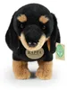 Peluche chien teckel, 23 cm, fabriquée de manière Voir les images du produit 6