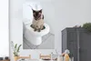 MuchoWow® Poster Eine birmanische Katze sitzt auf der Produktbild-Vorschau 2