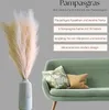 Layba Herbe de la Pampa Décoration en beige Boho Herbe de Voir les images du produit 3